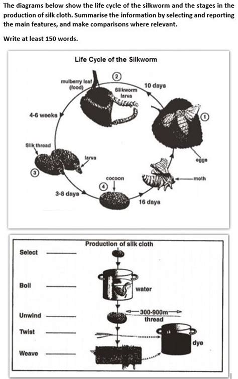 Chinh Phục Dạng Bài Process Ielts Writing Task 1