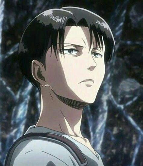 Check out our levi ackerman selection for the very best in unique or custom, handmade pieces from our shops. Levi Ackerman | Wiki | Anime Amino