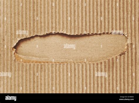 Seamless Texture Corrugated Cardboard Hi Res Stock Photography And