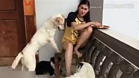 Beautiful Girl Playing With Dogs Youtube