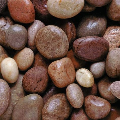 Scottish Pebbles 20 30mm In Bulk And Small Bags Garden Hub