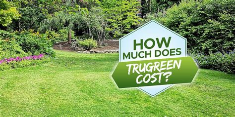 How Much Does Trugreen Really Cost Exploring Lawn Care Pricing