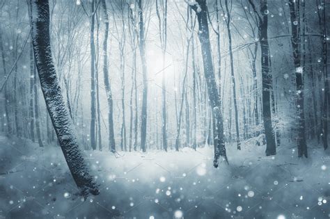 Magical Winter Forest With Snow Winter Forest Snowfall Winter