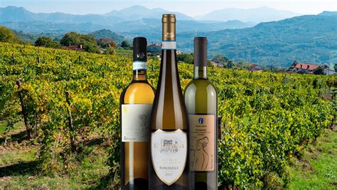 50 Most Popular Italian White Wines Tasteatlas