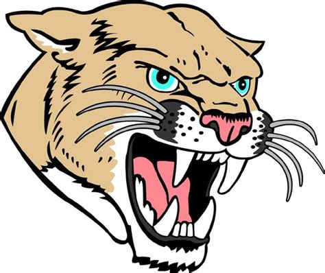 Free Cougar Head Cliparts Download Free Cougar Head Cliparts Png