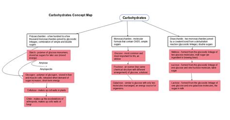 Carbohydrate Concept Map Template EdrawMind