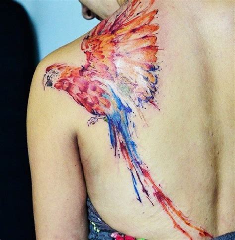 Bright Colored Macaw Parrot Detailed Tattoo On Shoulder Blade In