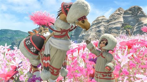 Chocobo Armor Highland Barding That Was Warm And Cute Ff14 Norirow