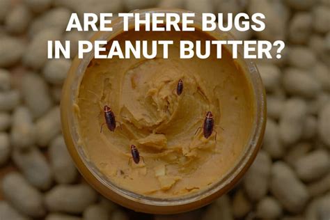 Are There Bugs In Peanut Butter Prepare To Be Shocked