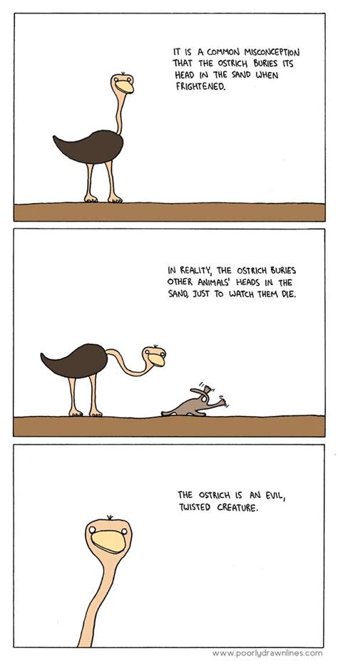 The Truth About Ostriches Funny Animal Comics Funny Comics Funny