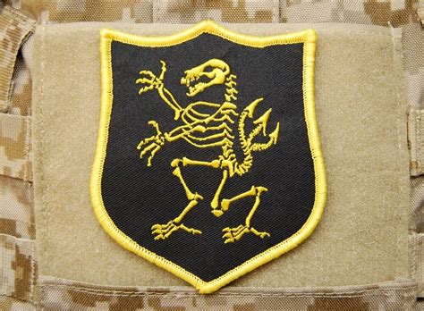 Wonder woman is a superheroine appearing in american comic books published by dc comics. NSWDG Navy SEAL Team 6 DEVGRU Lion Skeleton Gold Squadron ...