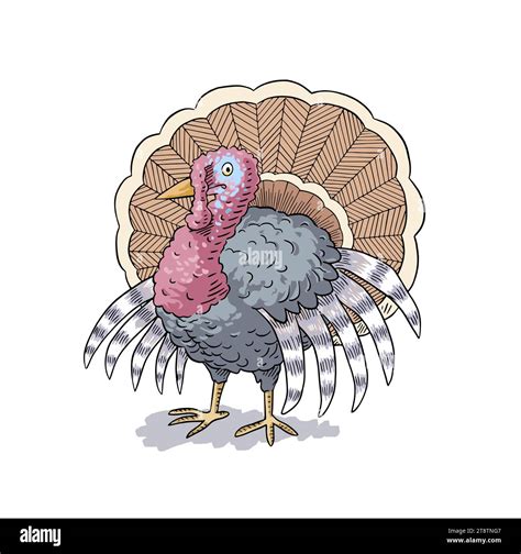 Cartoon Colorful Turkey Vector Illustration Stock Vector Image And Art