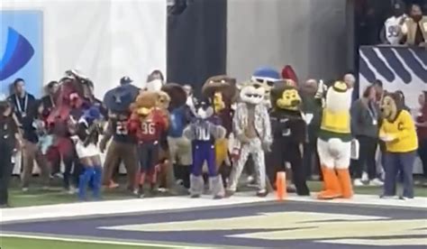 Pac 12 Mascots Cheer On Every Play Together In Endzone At Final Game