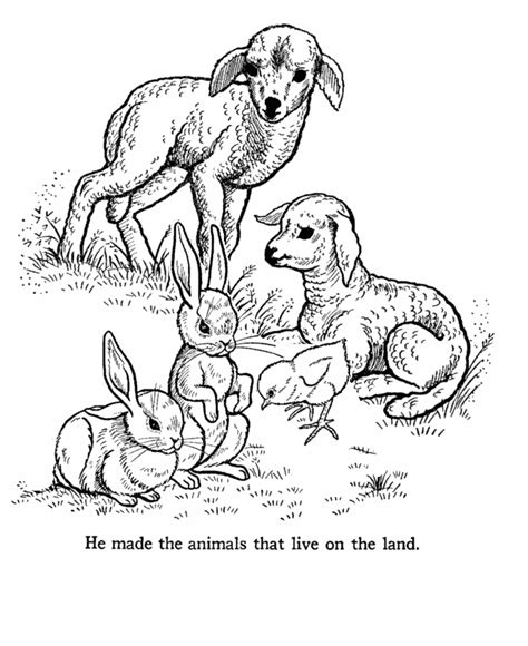 God Made The Animals Coloring Page Coloring Home