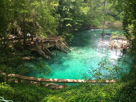 Florida Springs Camping Ultimate Guide For Best Springs