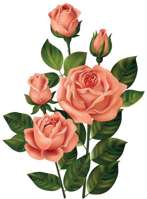 Rose Orange Clip Art Clipart Rose Png Picture Flower Art Flower