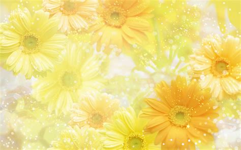 Yellow Flower Background Wallpaper 1920x1200 32589