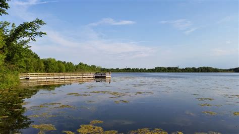 Free Images Sea Nature Forest Marsh Dock Shore Lake Pier