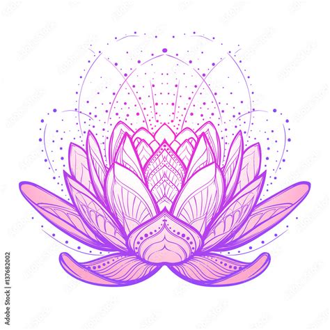 Lotus Flower Intricate Stylized Linear Drawing Isolated On White