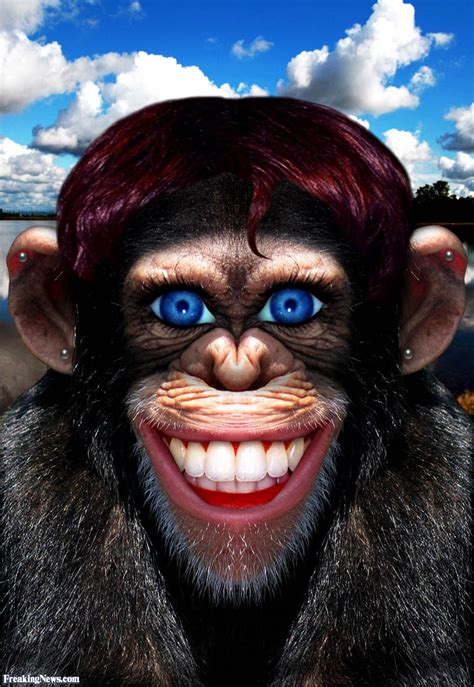 Crazy Monkey With Human Face Pictures