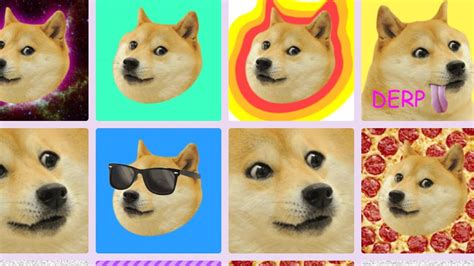 Doge2048 Collection Opensea