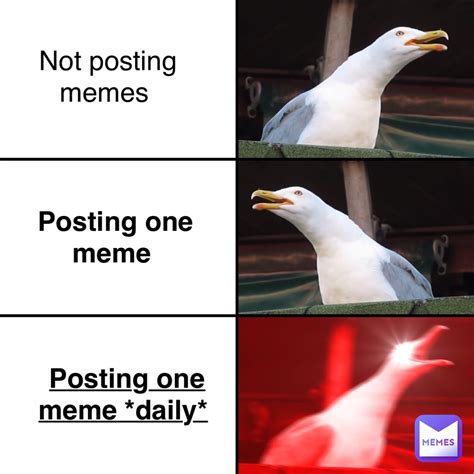 Not Posting Memes Posting One Meme Posting One Meme Daily Meme