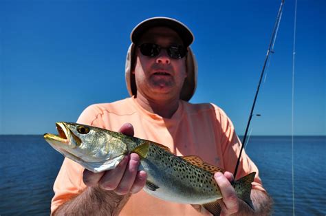 Gulf Coast Guide Service Fishing Report Slammin With Snook Redfish