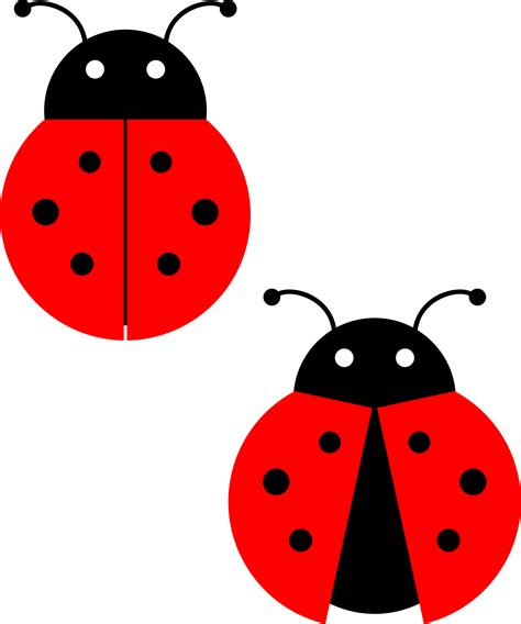 Cartoon Ladybug Clipart Clip Art Library