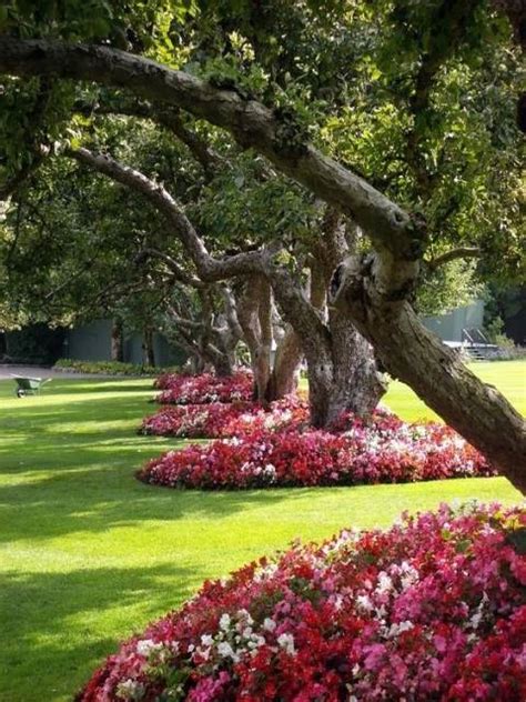 A tree might also start growing too close to the house or surrounding structures, preventing healthy trees do more than add greenery, fruit, or flowers to a landscape. Garden Decorating Ideas: 15 Small Flower Gardens Around Trees