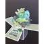 Amazoncom 3D Pop Up Card  Turtle Birthday Box Under