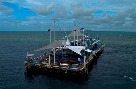 The Hardy Reef Pontoon Great Barrier Reef Round The World In 30 Days