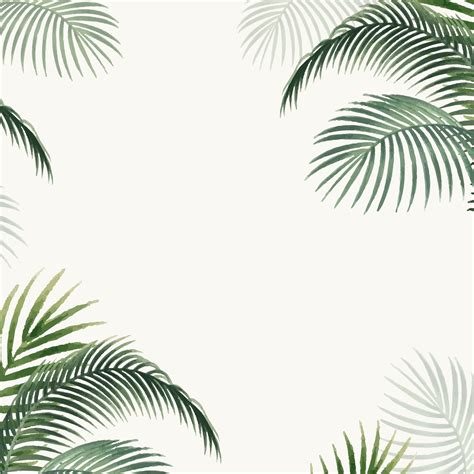 vector illustration of tropical green leaves of palm