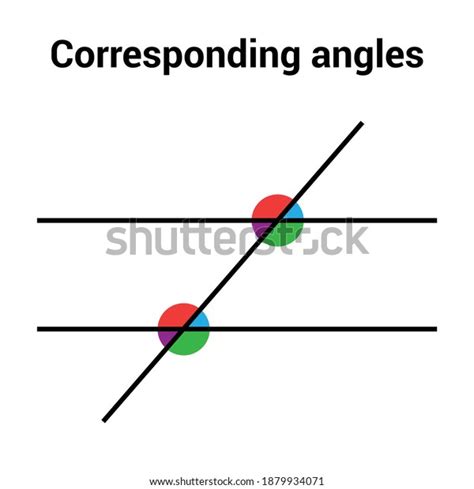 Corresponding Angles Formed By Parallel Lines Stock Vector Royalty