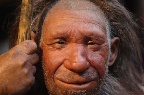 Randka Z Neandertalczykiem National Geographic