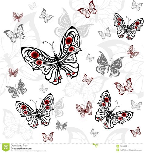 Seamless Pattern Of Gray Butterfly Stock Vector Illustration Of