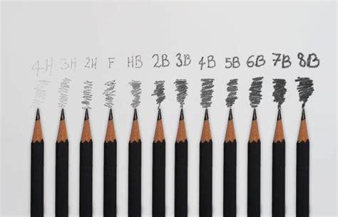 Best Pencils For Drawing Steadtler Graphite Pencils Atelier Yuwaciaojp