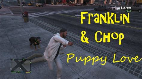 Franklin And Chop Puppy Love Gta V Youtube