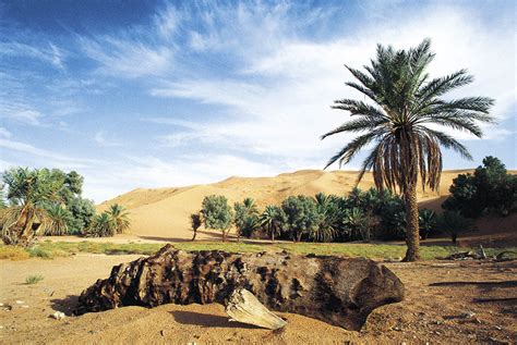 السياحة البيئية في السعودية وافضل 9 اماكن جولة