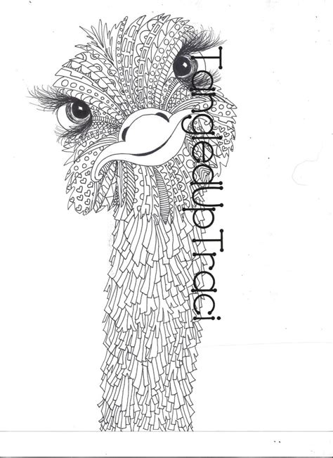 Coloring pages are no longer just for children. Ostrich Zentangle Coloring Page for Adults and by ...