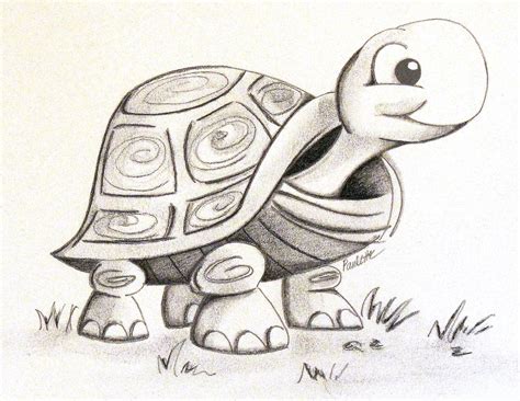 Black And White Graphite And Charcoal Drawing Of A Turtle Turtle