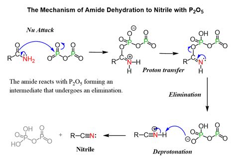 The Mechanism Of Amide Dehydration To Nitrile With P O Organic