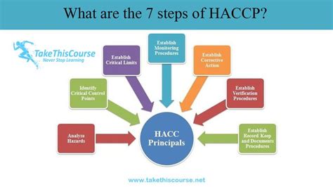 What Are 7 Steps Of Haccp Website Services Website Maintenance Website