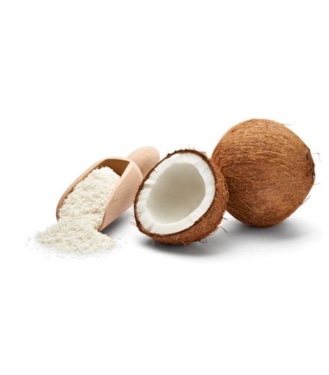Coconut Shredded Organic Raw Coconut Raw Organic Health