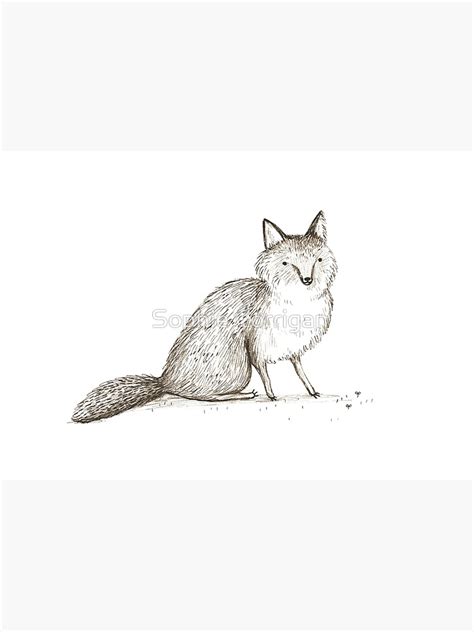 Swift Fox Sketch Art Print By Sophiecorrigan Redbubble