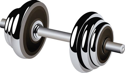 Barbell Png Transparent Image Download Size 3513x2065px