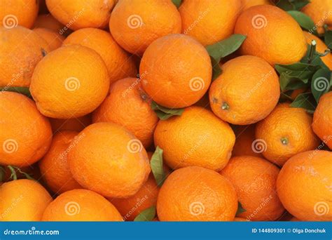 Big Pile Of Ripe Oranges With Leaves Stock Image Image Of Juicy