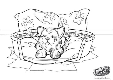 Coloriage Chien Et Chat A Imprimer Gratuit Coloriage