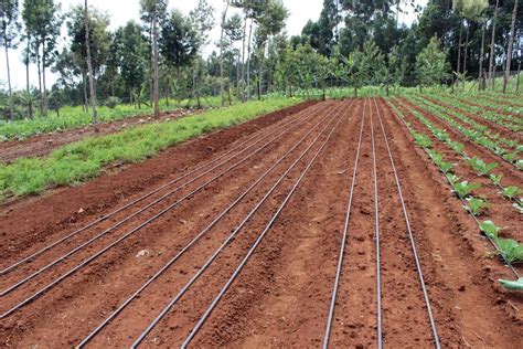 A wide variety of low pressure irrigation pump options are available to you, such as power source, application, and pressure. How to start farming with little to no Capital