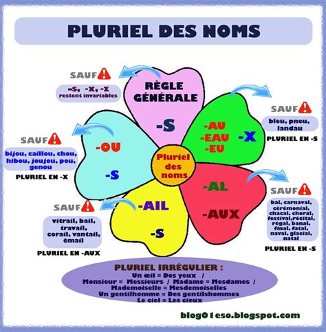 Fran Ais Grammaire Pluriel Des Noms Et Des Adjectifs En S Ou X Ou Z C Saint Louis Bxl