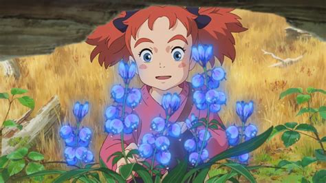 If these haven't been officially done yet, are there any fan translations that exist? Mary and the Witch's Flower trailer: Studio Ponoc's debut ...